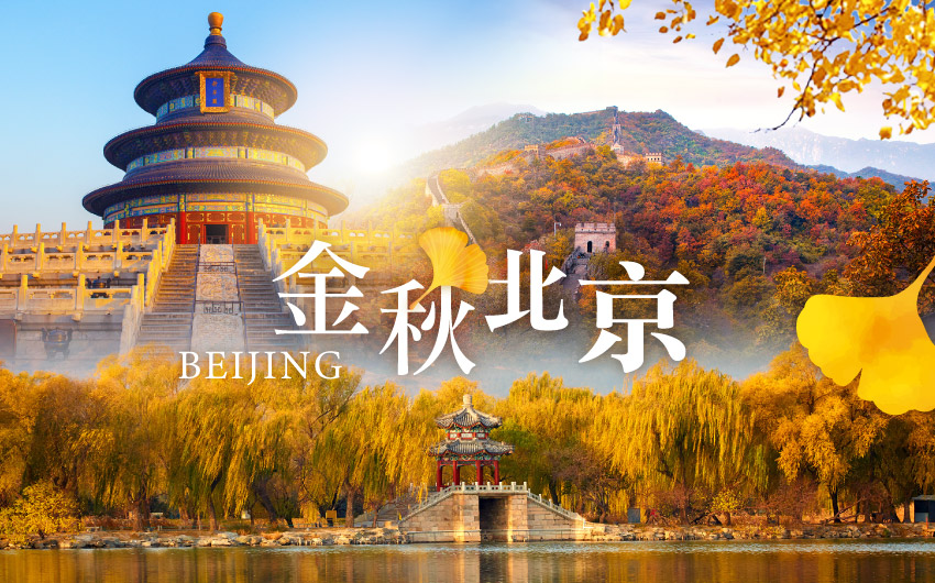 金秋北京、紅楓銀杏５日